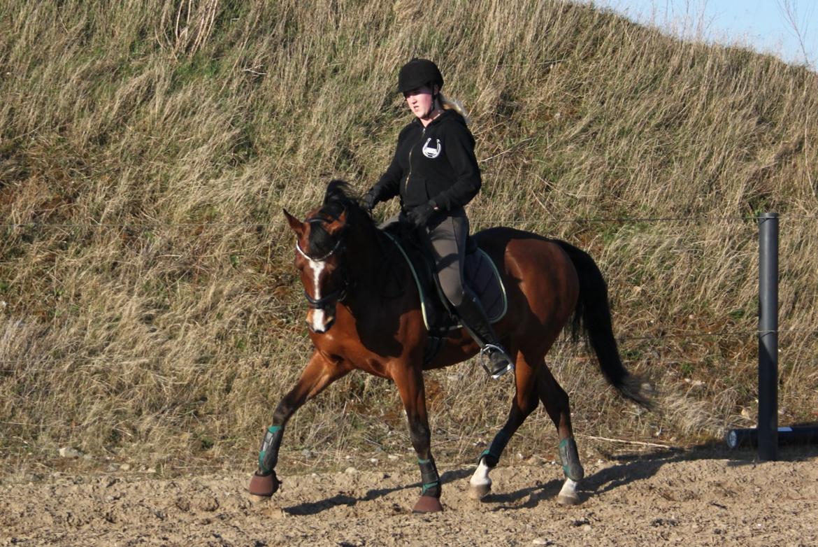 DSP Fontaine billede 16