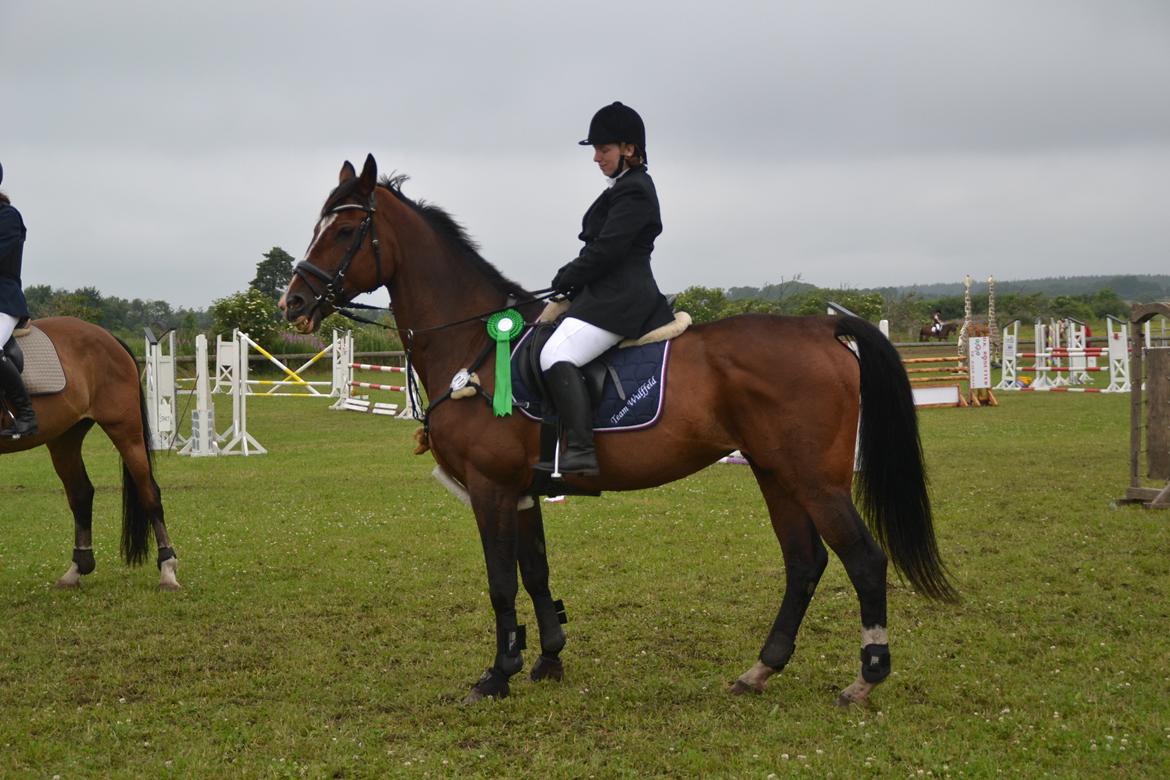 Holstener antaris *R.I.P* billede 20