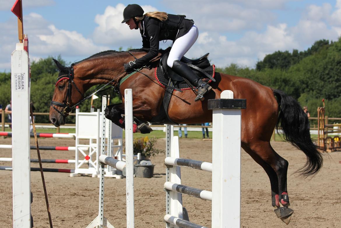 Holstener Vestergårdens La Luna - 12-08/12 ~ En flyvende Kamel i Vejle! LB** er da intet problem! billede 1