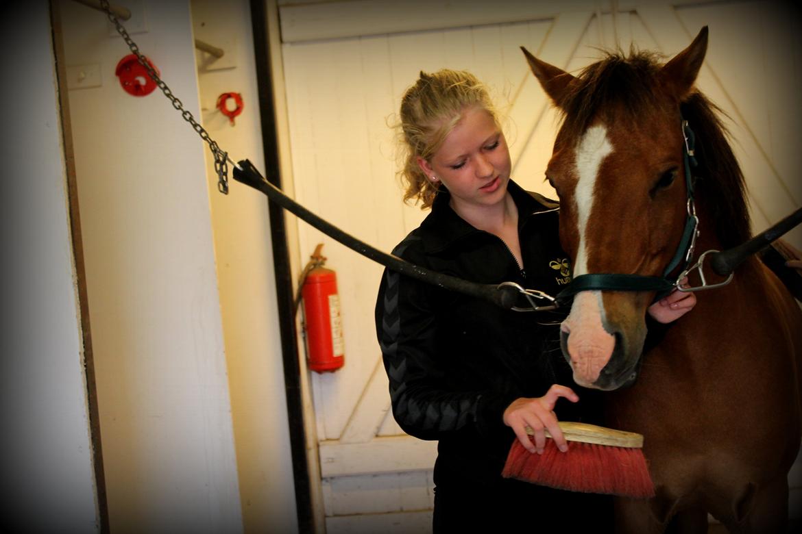 Anden særlig race Santo | tidl. part | billede 3