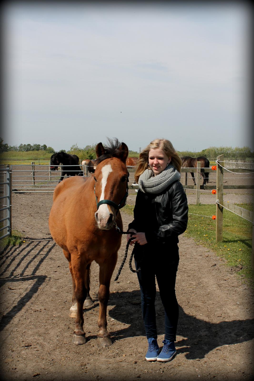 Anden særlig race Santo | tidl. part | billede 4