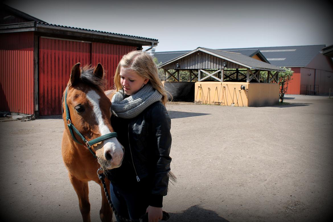 Anden særlig race Santo | tidl. part | billede 5