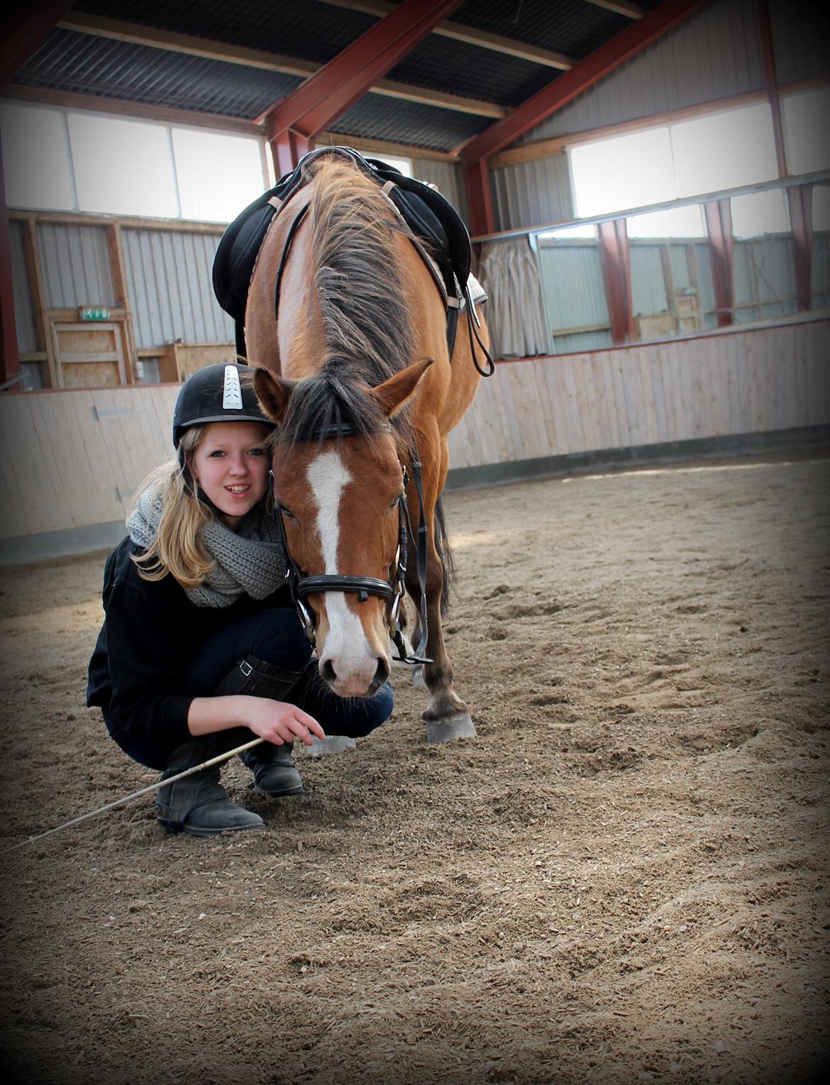 Anden særlig race Santo | tidl. part | billede 7