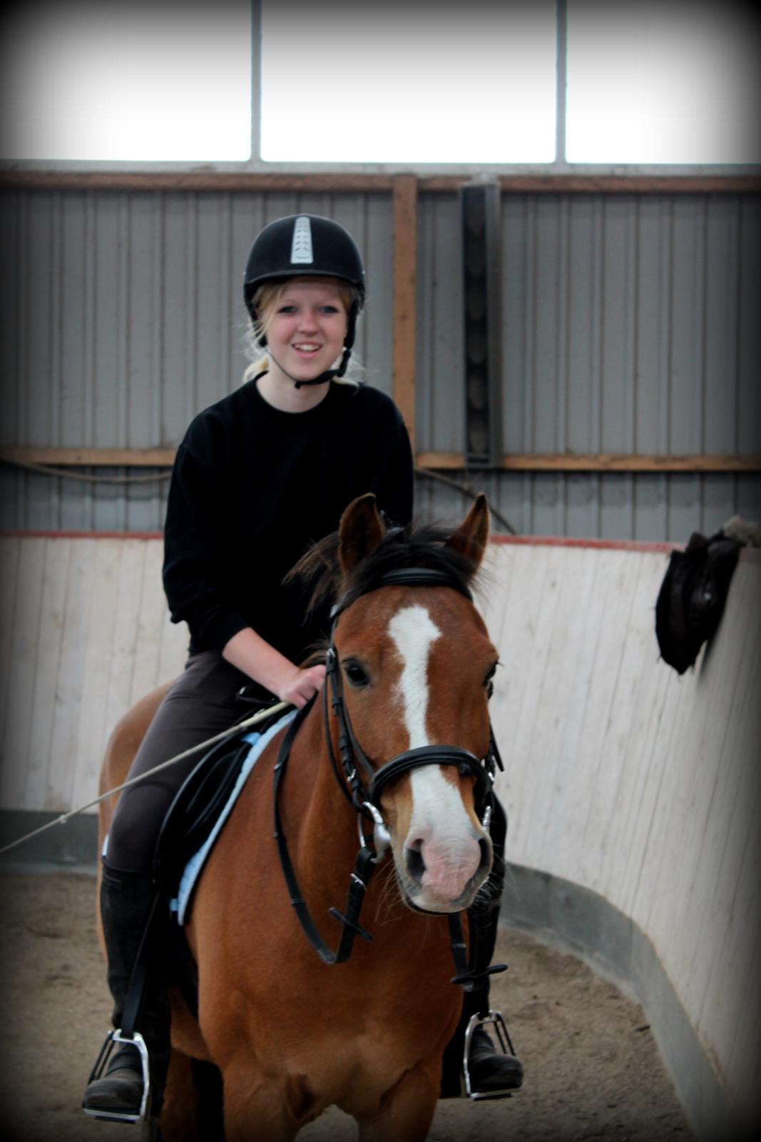 Anden særlig race Santo | tidl. part | billede 12