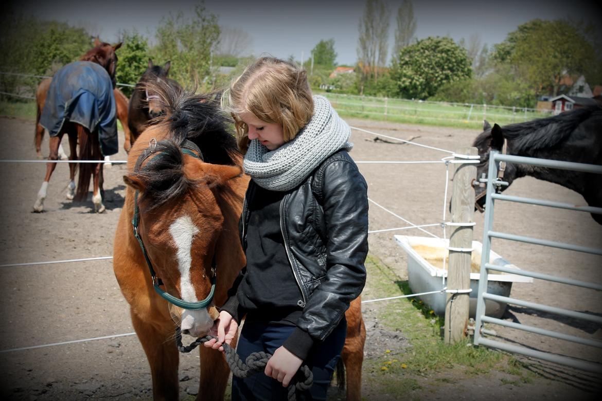 Anden særlig race Santo | tidl. part | billede 13