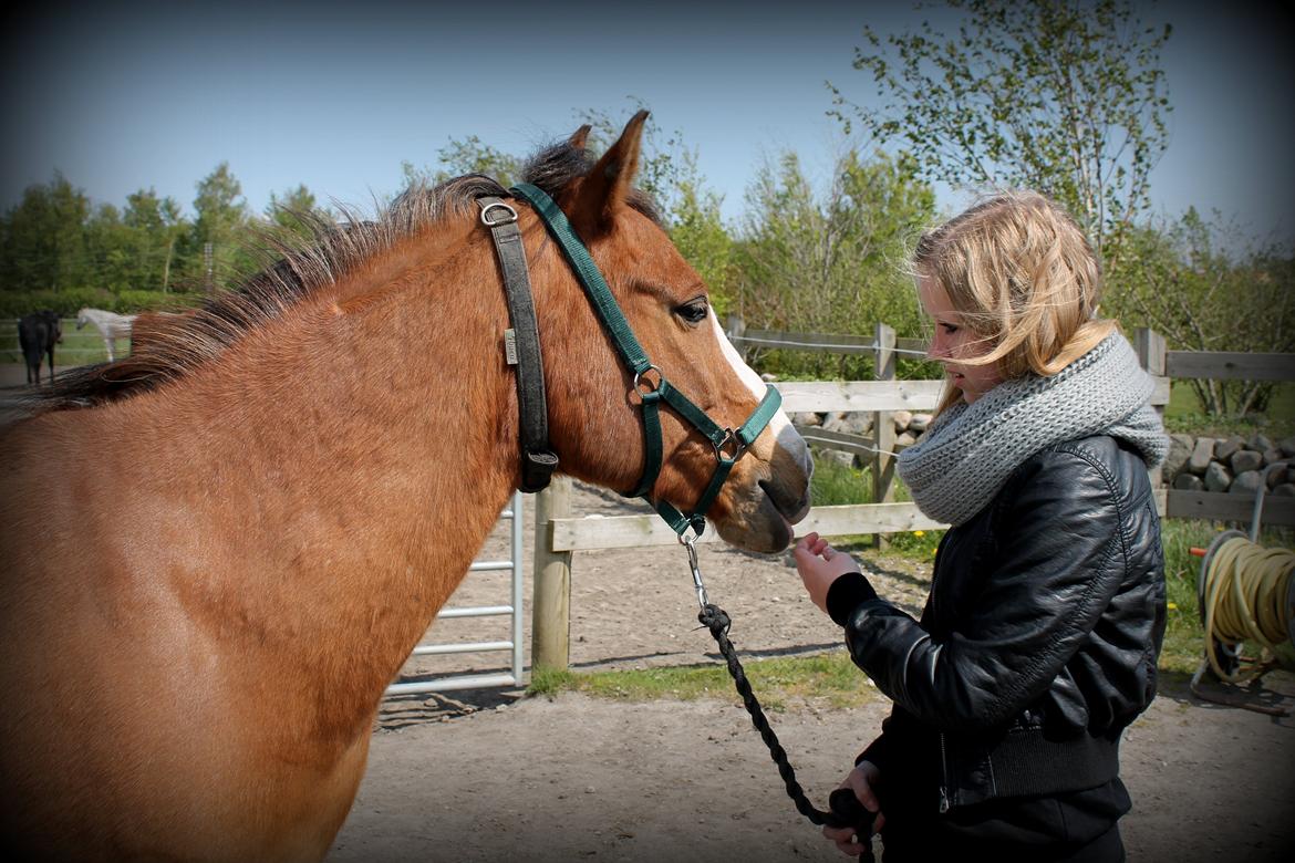 Anden særlig race Santo | tidl. part | billede 15