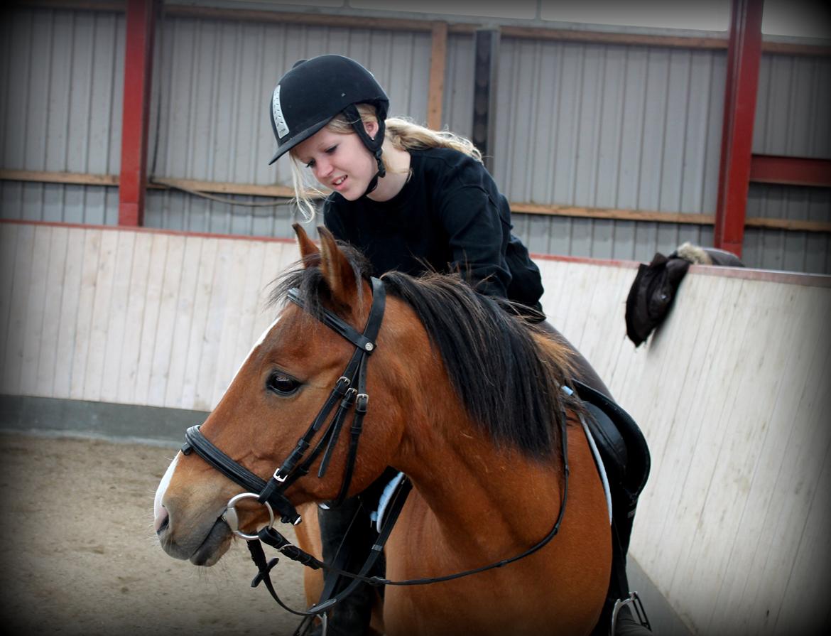 Anden særlig race Santo | tidl. part | billede 16