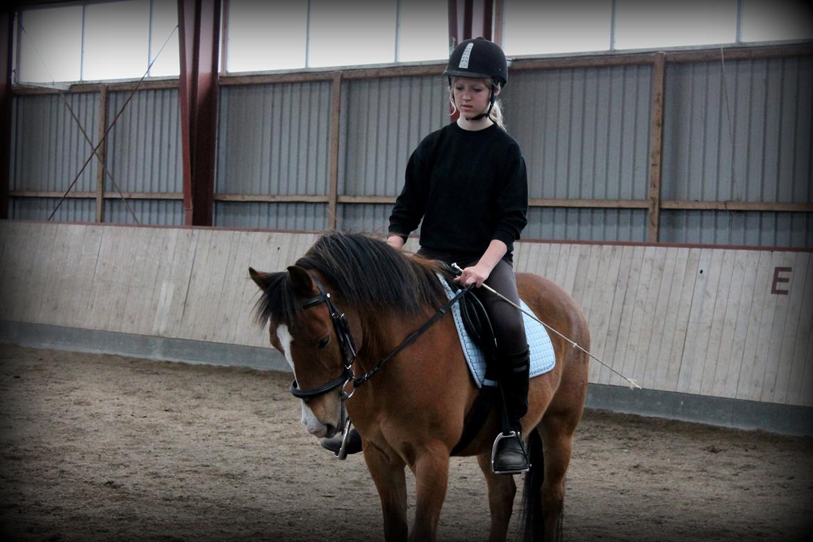 Anden særlig race Santo | tidl. part | billede 17