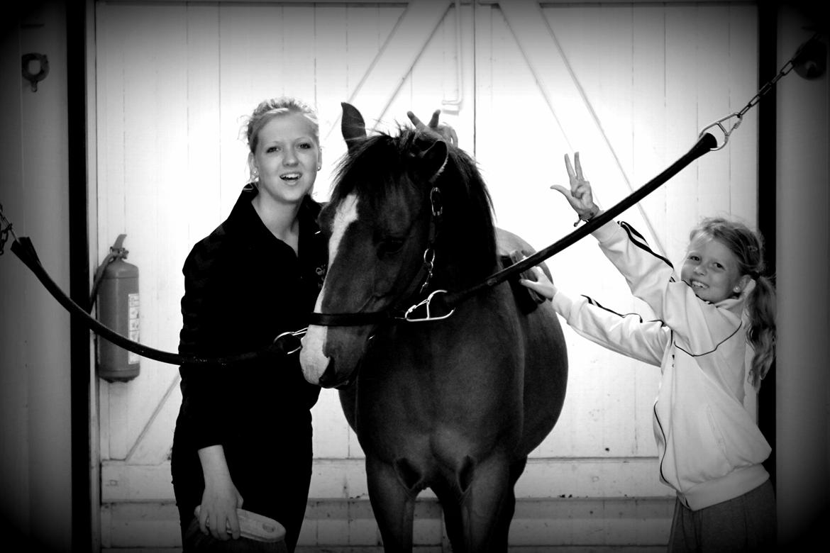 Anden særlig race Santo | tidl. part | billede 18