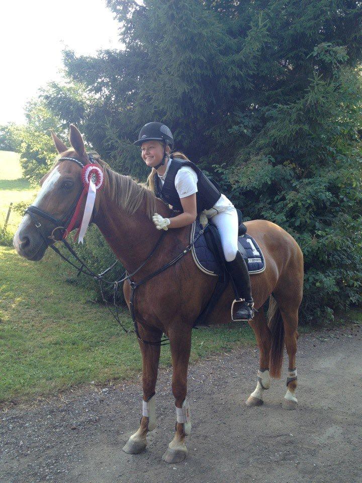 Dansk Varmblod AQUA Z - 1. plads til vores første stævne! Låååfe you <3 billede 11