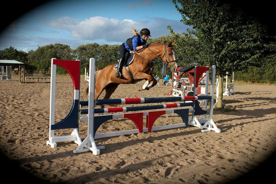 Dansk Varmblod AQUA Z - Springundervisning :-)
Foto: Josefine Sundsdal billede 14