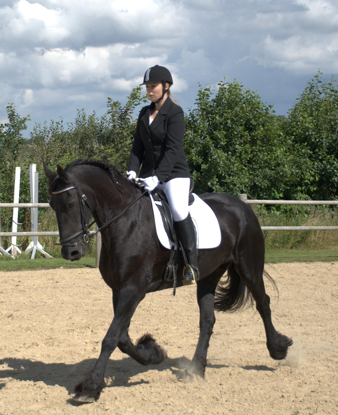 Frieser Geartsje Tjimske K. [Solgt] - <3 billede 18