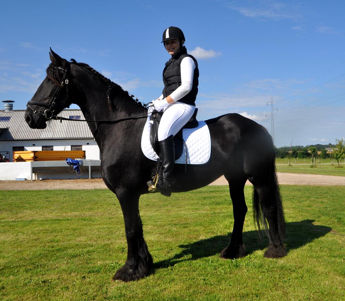 Frieser Geartsje Tjimske K. [Solgt] - Til stævne. 
Skønne hest :-) billede 3