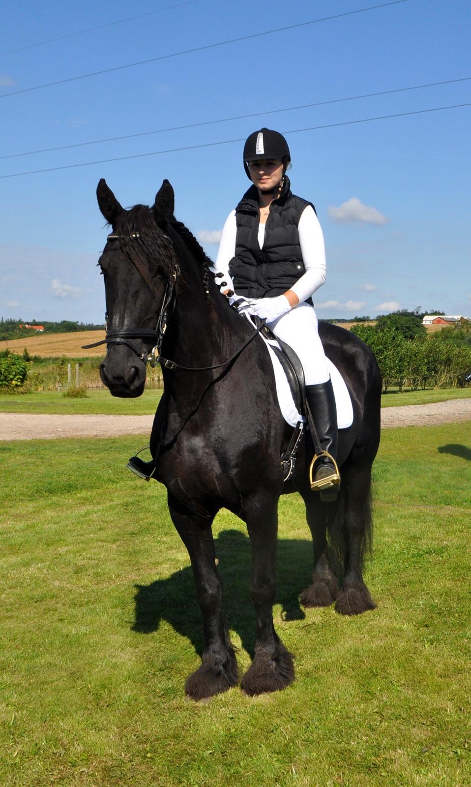 Frieser Geartsje Tjimske K. [Solgt] - Lækker hest jeg har mig! :-) billede 16