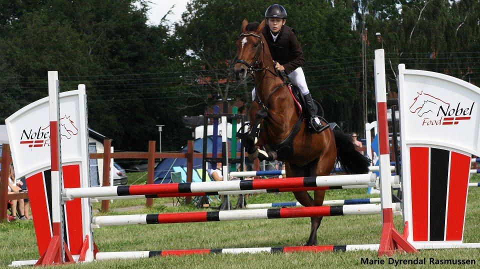 Anden særlig race Kehops De Nonville - min søde pony og min lillebror billede 20