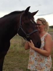 Dansk Varmblod Botelli - Min hest<3 billede 7