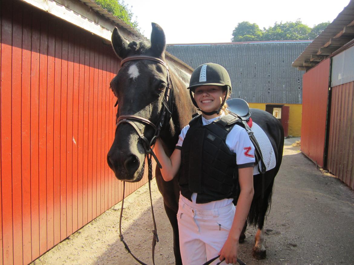 Welsh Cob (sec D) Black Magic (rideskole pony) - Til Magic's første springstævne<3 billede 6