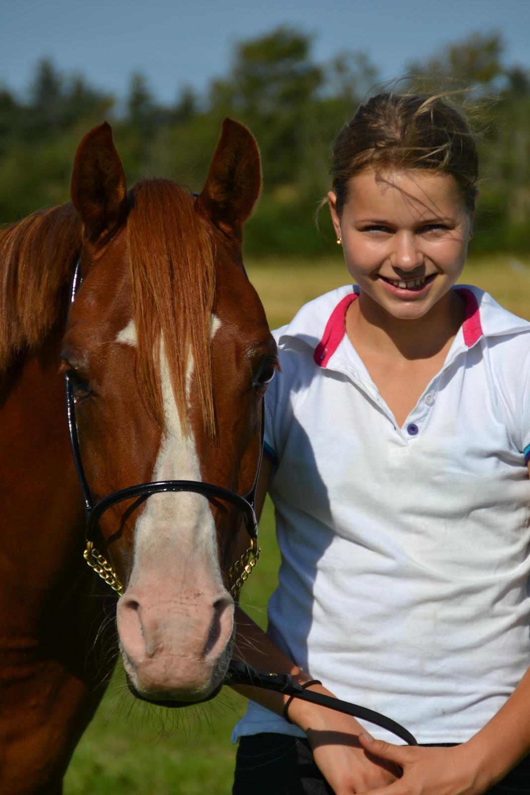 Anden særlig race Brenco billede 3