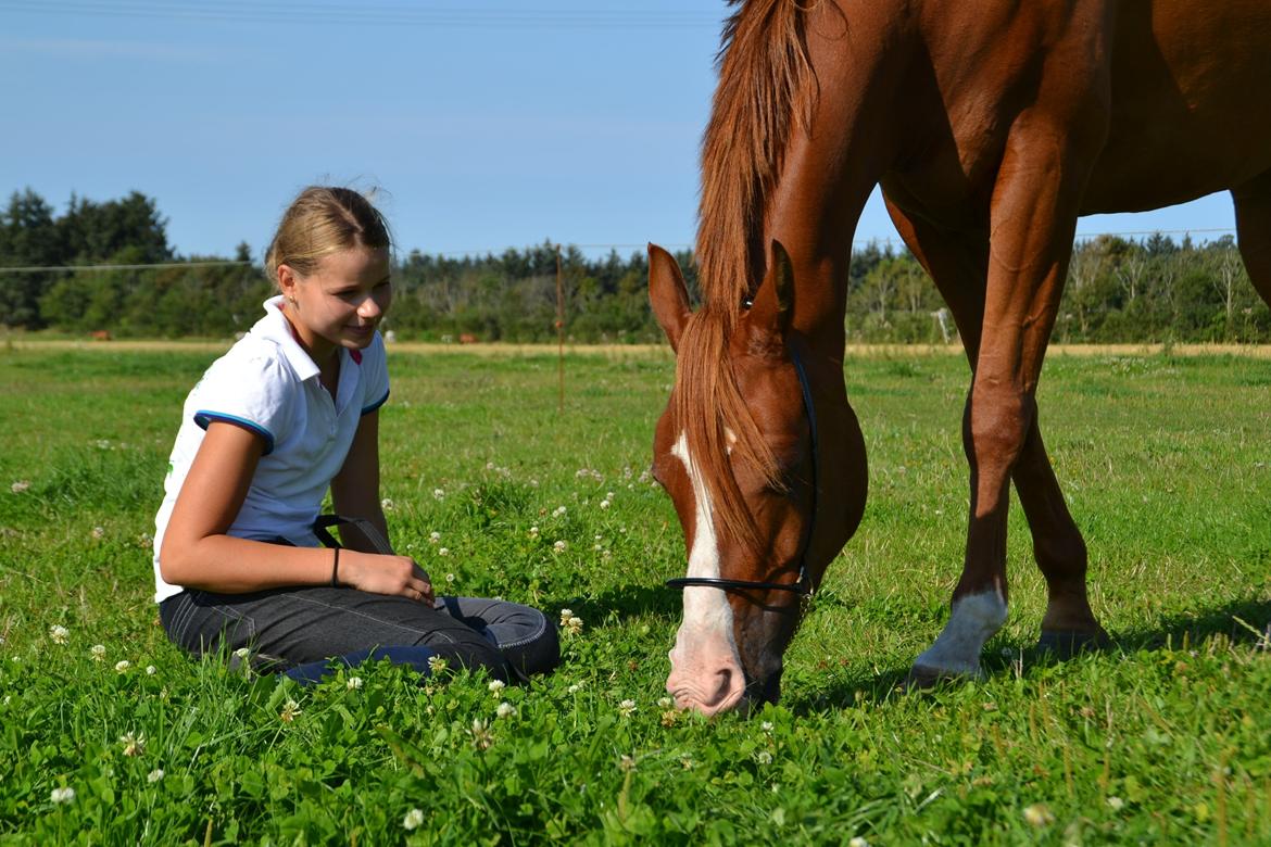 Anden særlig race Brenco billede 10