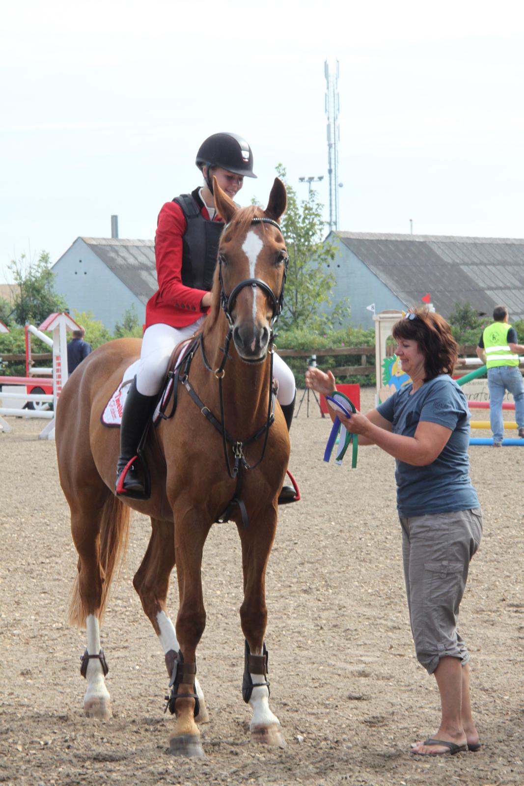 Anden særlig race Mañaña *STJERNE* - Stjernen i Hylke hvor han blev nummer 4 i en LC lille basse dog billede 13