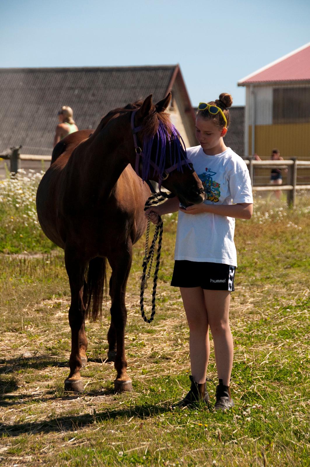 Anden særlig race Quidam - P.S  i love you <3 billede 16