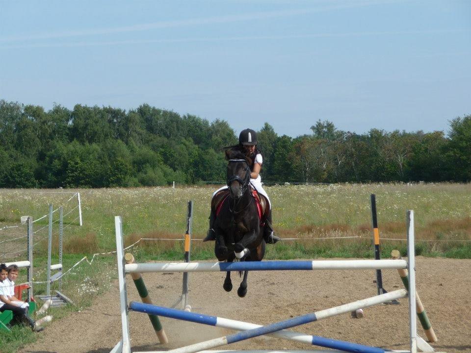 New Forest Bella - sponserspring 115 cm:-)
 billede 12