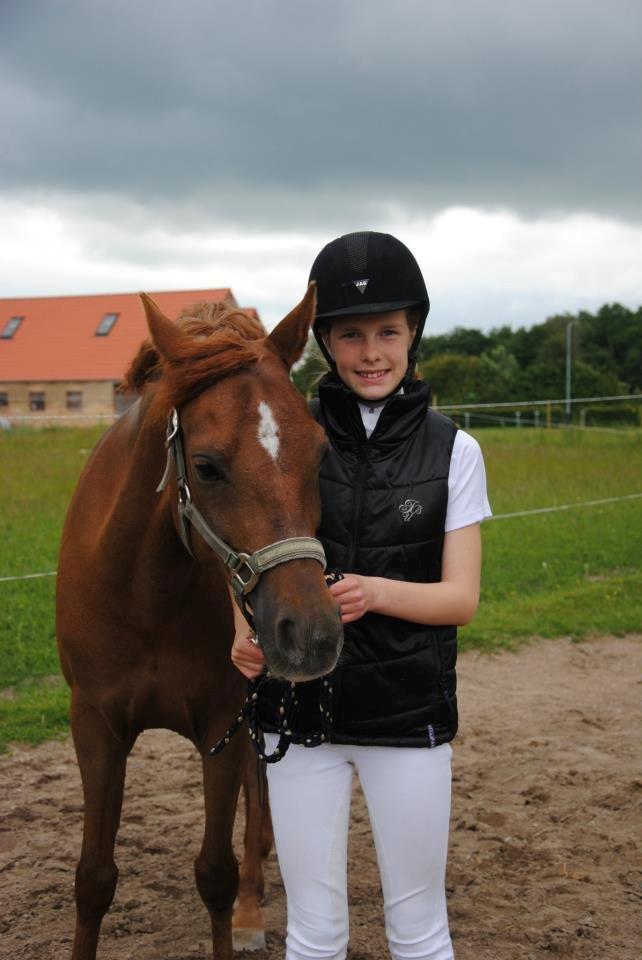 Tysk Sportspony Aladin *Den Bedste* - Jeg elsker dig mus :-) billede 11
