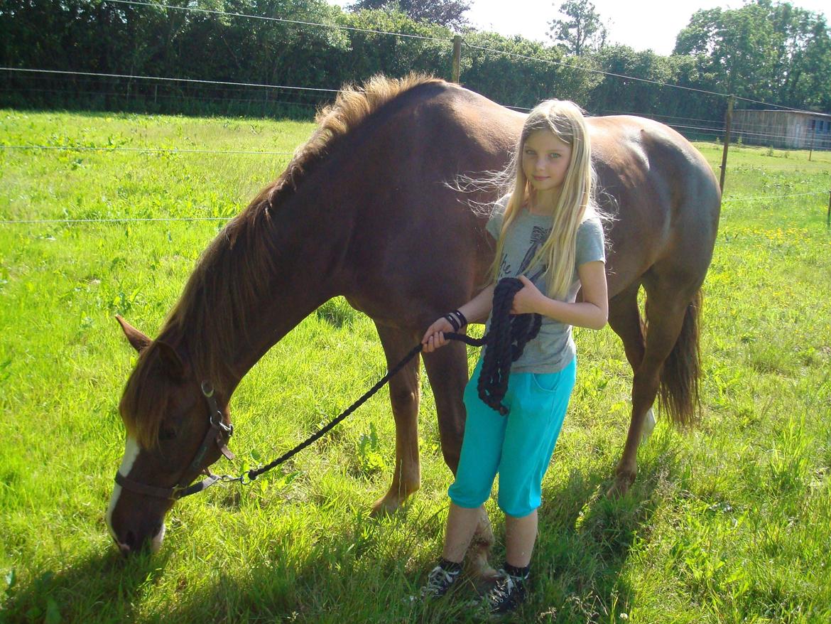 New Forest Lilholst Baluo - vi er på hygge tur. du slap for at ride den dag:-)<3<3 billede 4