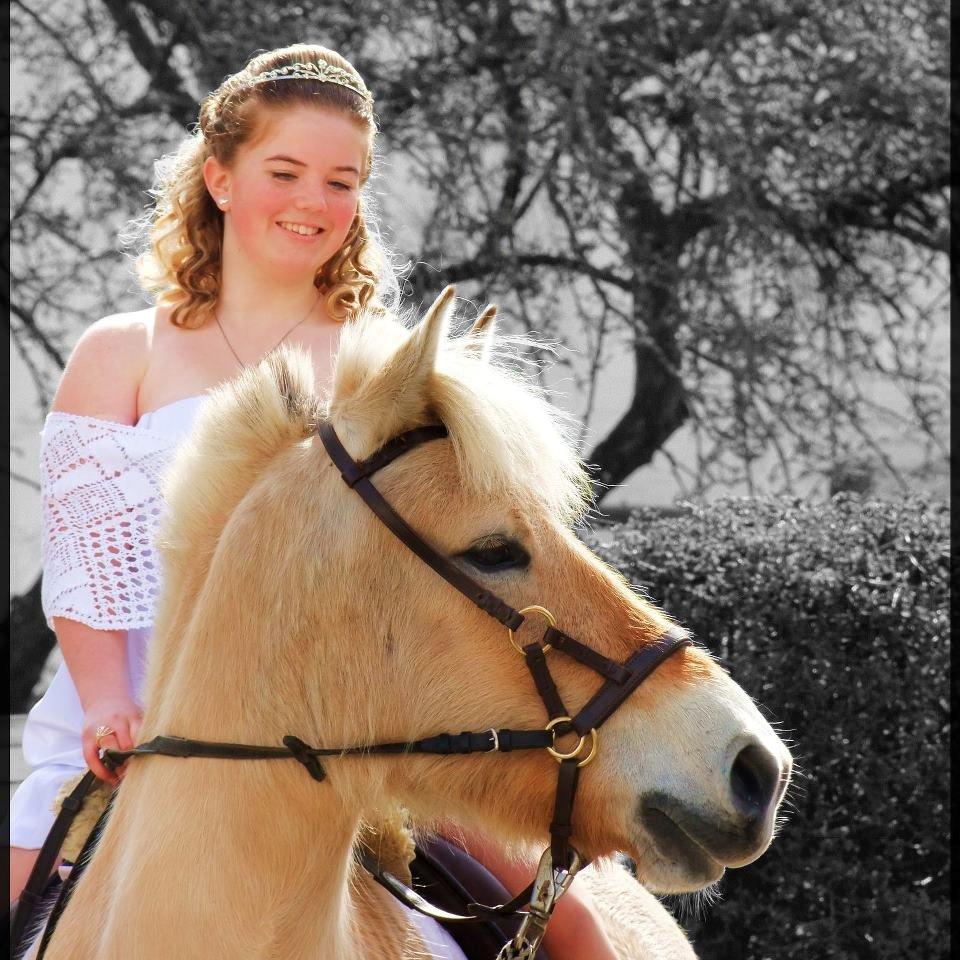 Fjordhest Jydegårdens Luna [himmelhest] - 22/4-12 <3
26/4-12 hun bliver min <3 :* billede 7