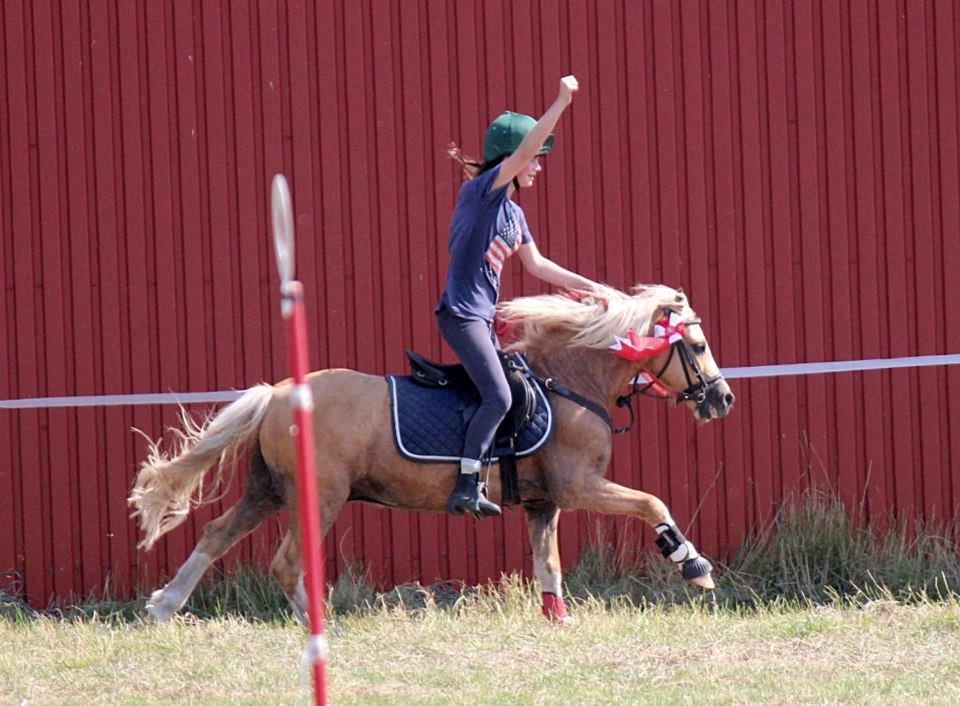 Welsh Mountain (sec A) Sjaik - 1 Plads C finale DM Indivduelle 2012 :) billede 9