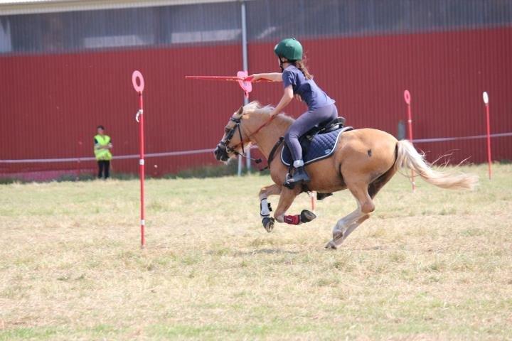 Welsh Mountain (sec A) Sjaik - 1 Plads C finale DM Indivduelle 2012 :) billede 11