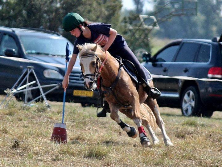 Welsh Mountain (sec A) Sjaik - 1 Plads C finale DM Indivduelle 2012 :) billede 2