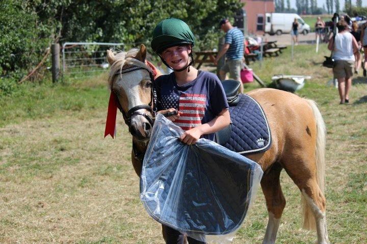 Welsh Mountain (sec A) Sjaik - 1 Plads C finale DM Indivduelle 2012 :) billede 13