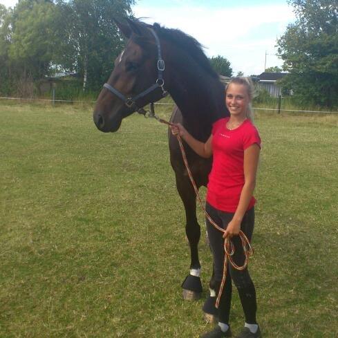 Dansk Varmblod Botelli - Smukke pige og smukke dreng billede 9
