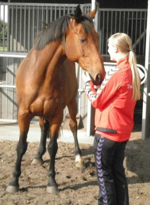 Holstener Lasse billede 1