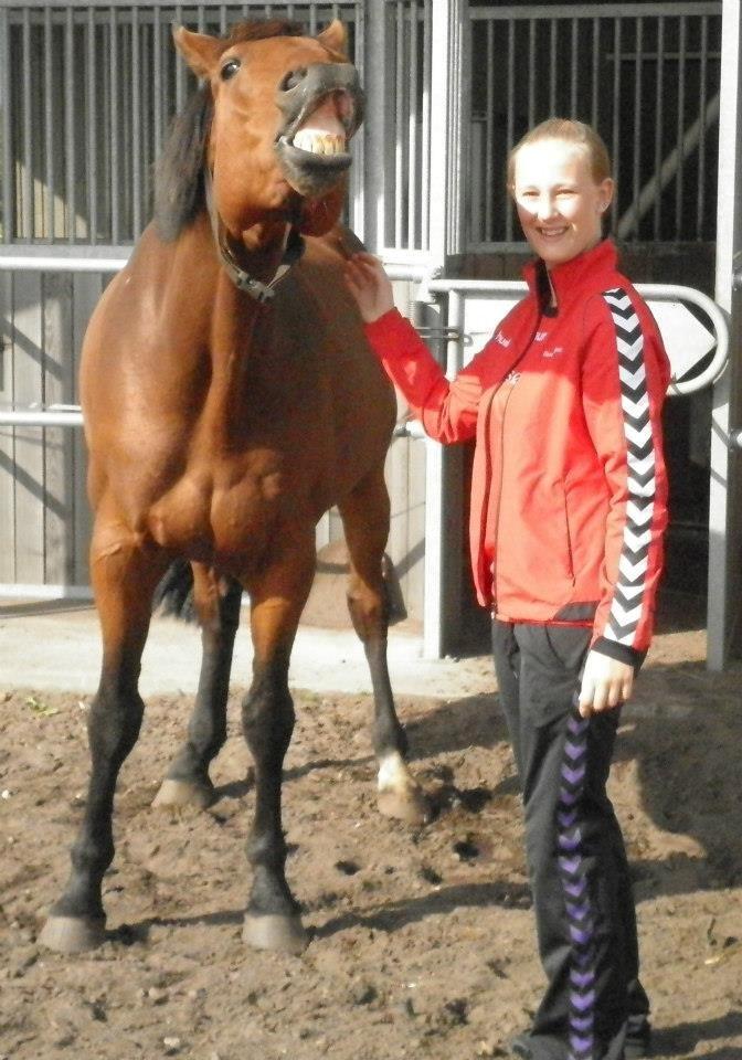 Holstener Lasse billede 2