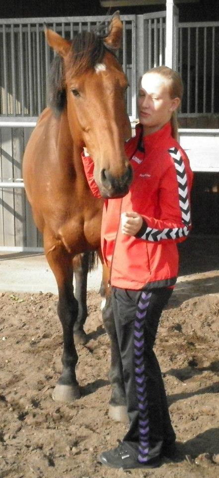 Holstener Lasse billede 4