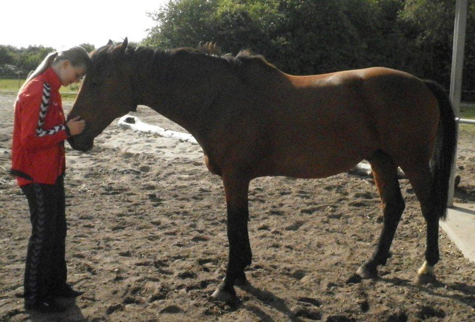 Holstener Lasse billede 5