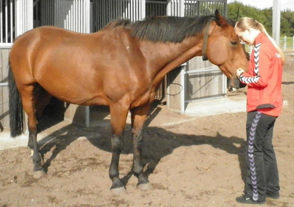 Holstener Lasse billede 6