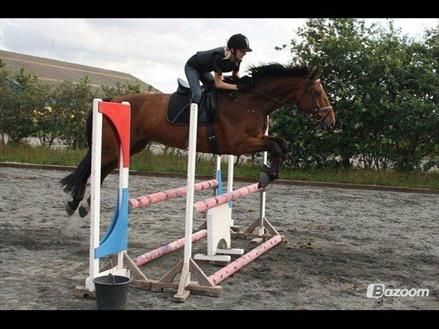 Holstener Lasse billede 8