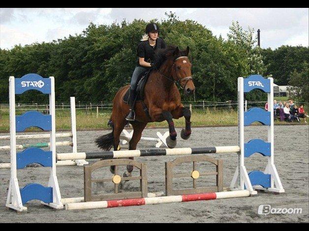 Holstener Lasse billede 9