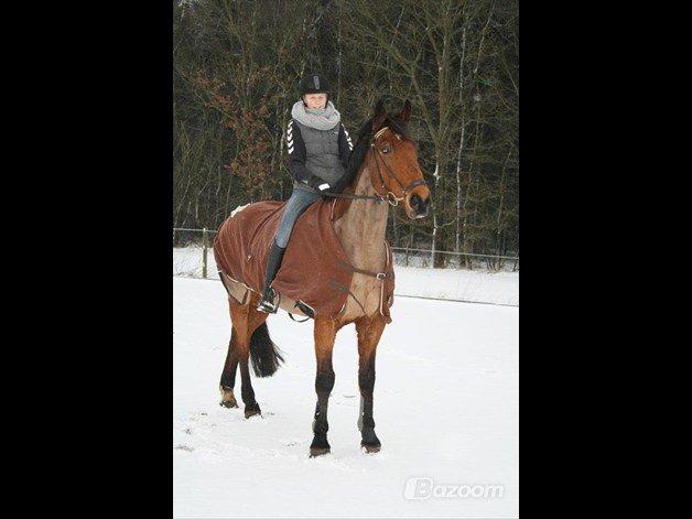 Holstener Lasse billede 12