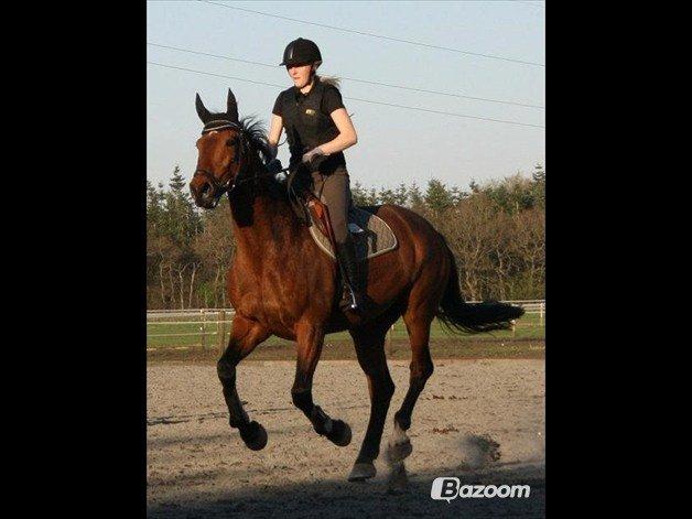 Holstener Lasse billede 14