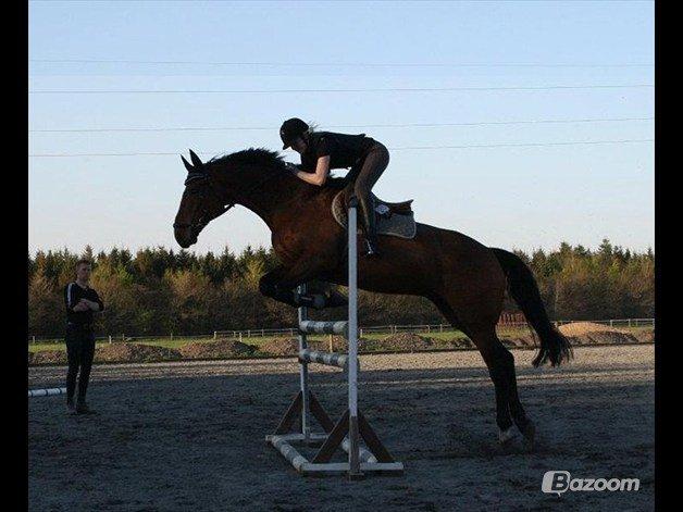 Holstener Lasse billede 15