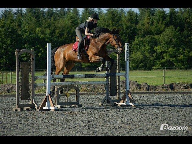 Holstener Lasse billede 18