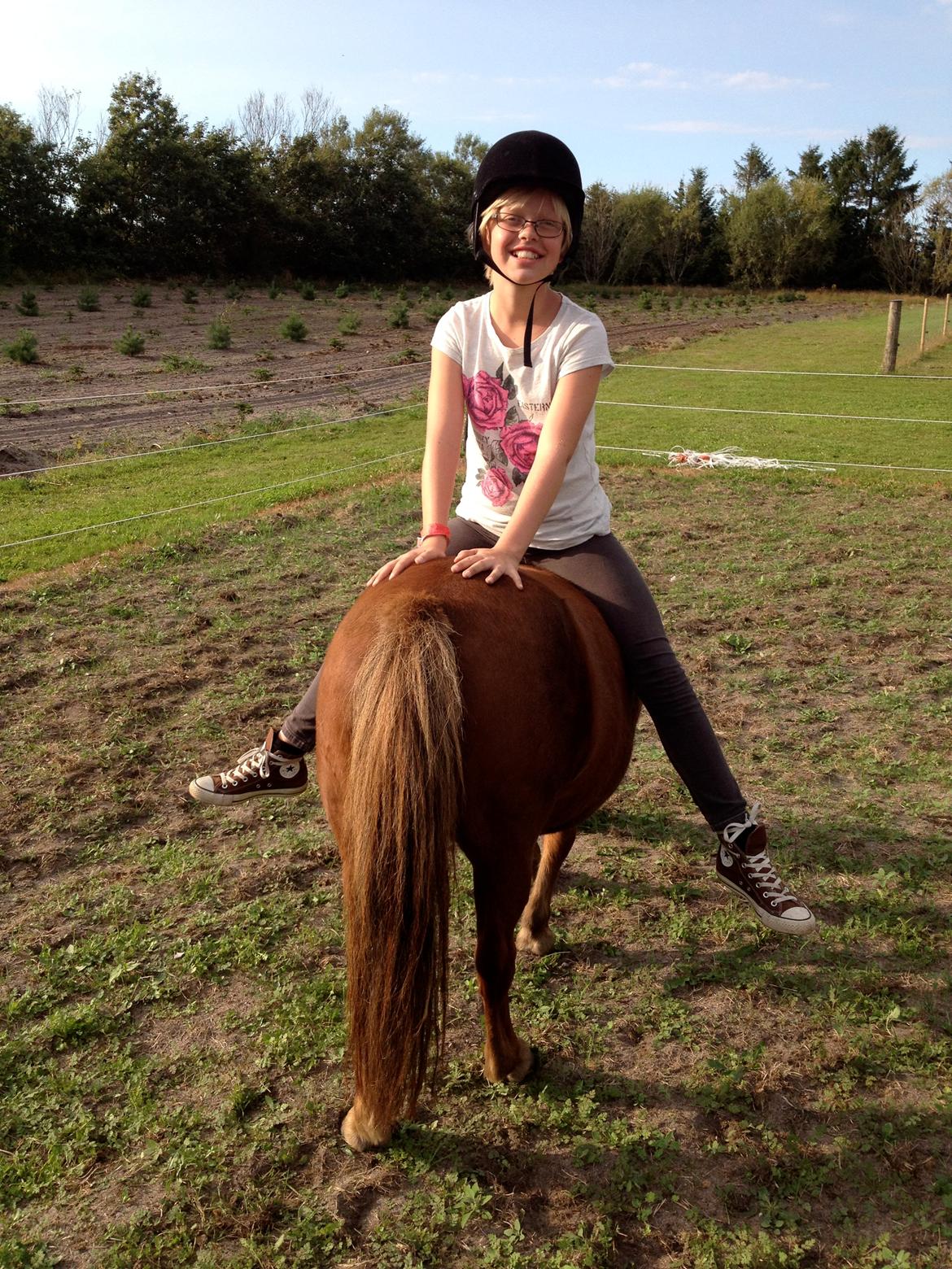 Shetlænder Solgårdens Lotte "Flotte Lotte" <3 - 2. gang Maiken rider på Lotte ;D og hun kunne bare gøre alt på hende ;P er bare så stolt af min Lotte <3 billede 10