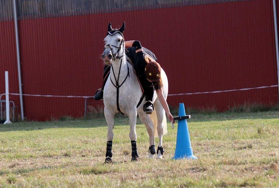 Anden særlig race Fantazy - DM indi. mounted games billede 16