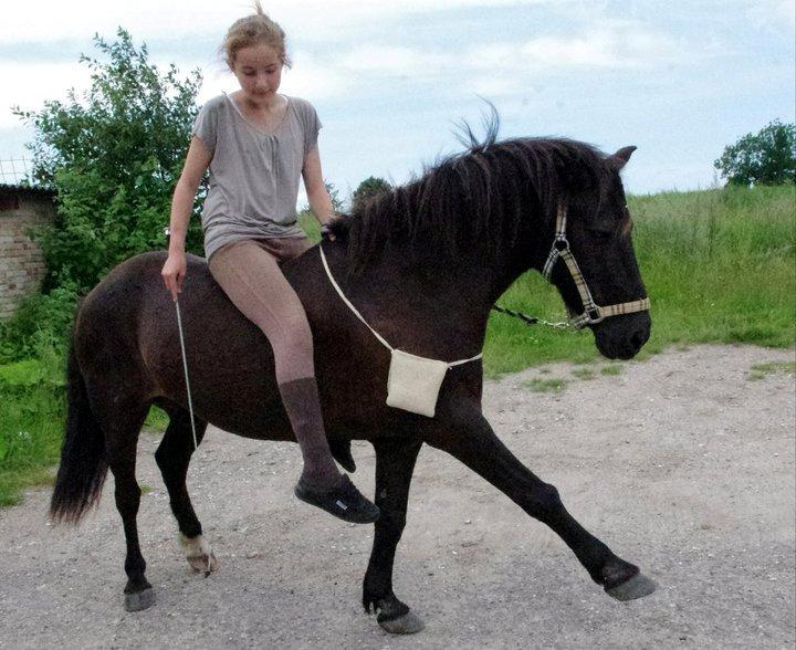 Anden særlig race | Blacky - Spanske skridt, fra ryggen. ♥ billede 9