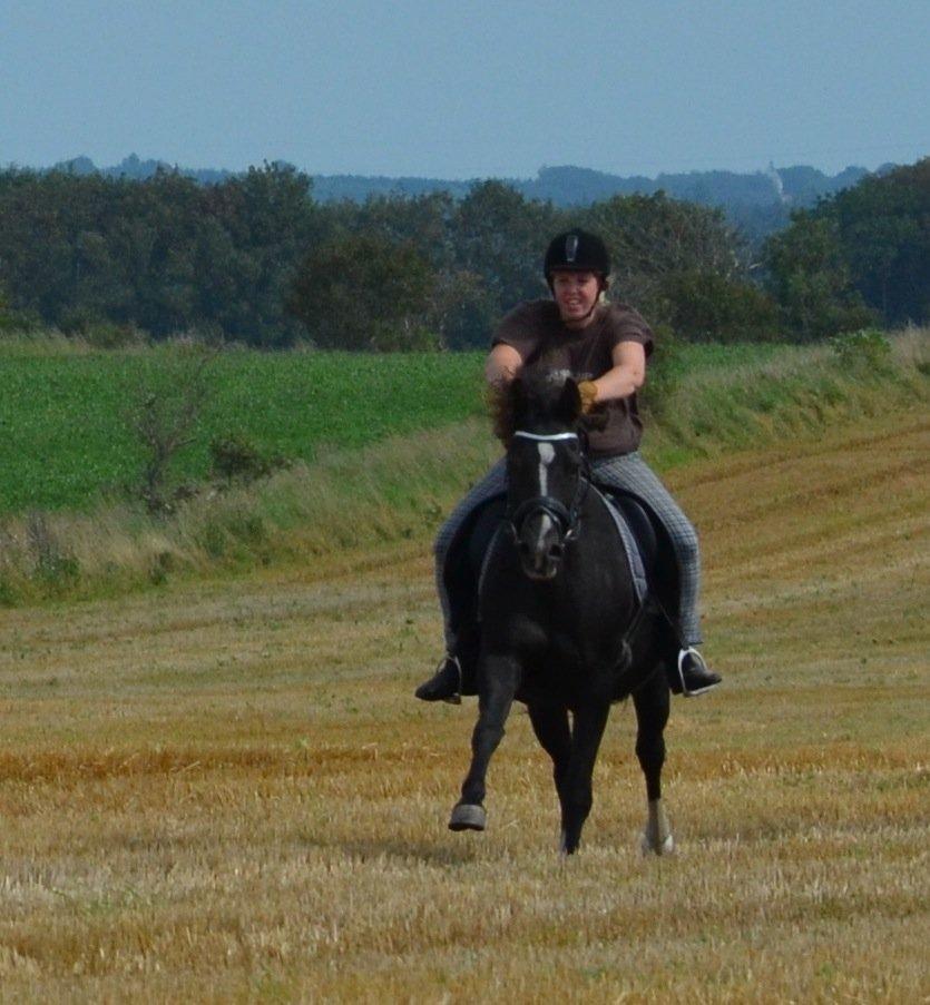 Anden særlig race Lucky Boy - Lucky i fuld fart!  billede 9