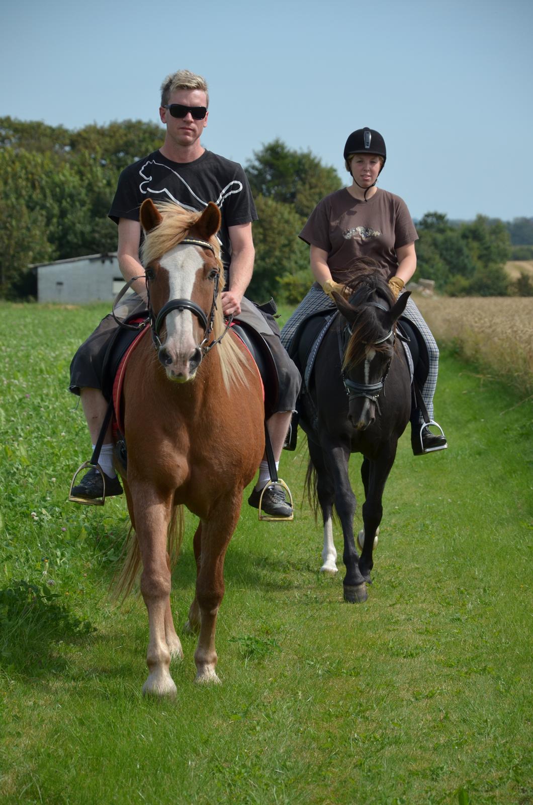 Haflinger Patrick - Patrick på hyggetur med Lucky, Stine og hendes kæreste Allan :) billede 2